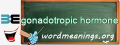 WordMeaning blackboard for gonadotropic hormone